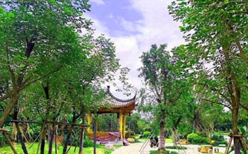 【必备】美丽的公园
