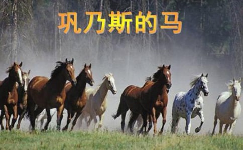 巩乃斯的马读后感悟阅读心得作文