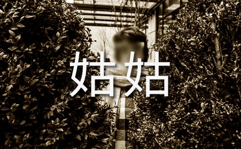 关于姑姑的作文