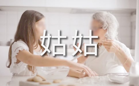 关于姑姑的作文