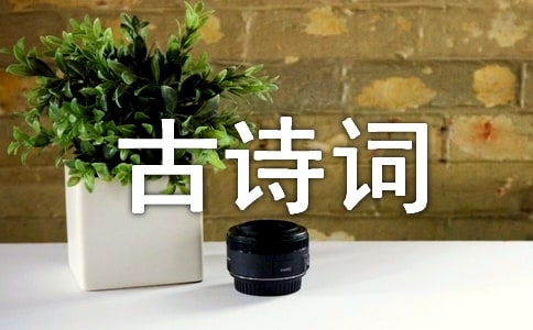 我爱古诗词作文（精选19篇）