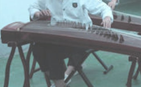 我的古筝之路作文