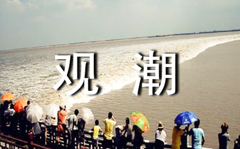 观潮的作文[优选15篇]