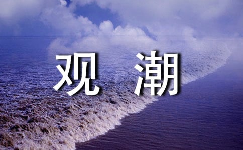 【必备】观潮作文300字（精选12篇）