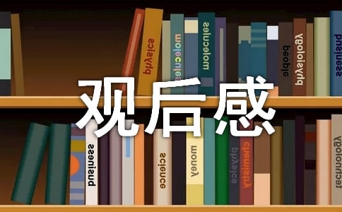 《胡桃夹子和四个王国》观后感范文