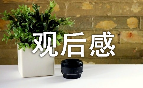北京开幕式观后感