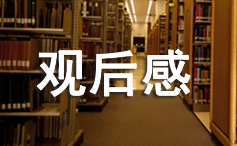 岁月神偷观后感范文