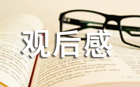 一诺倾情的观后感