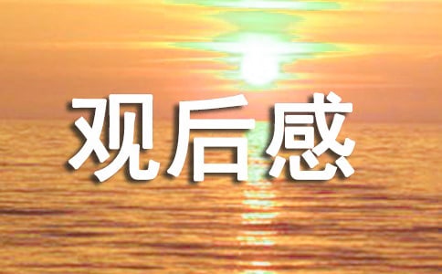 关于最美铁路人先进事迹的观后感（通用18篇）
