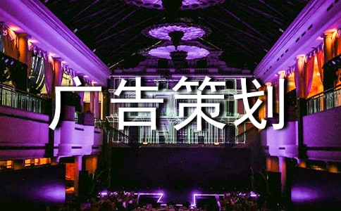 广告策划书案例
