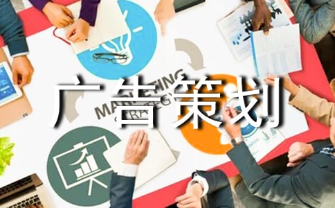 广告策划书ppt