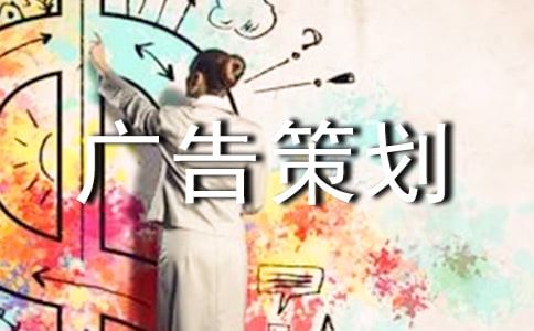 广告策划书的格式