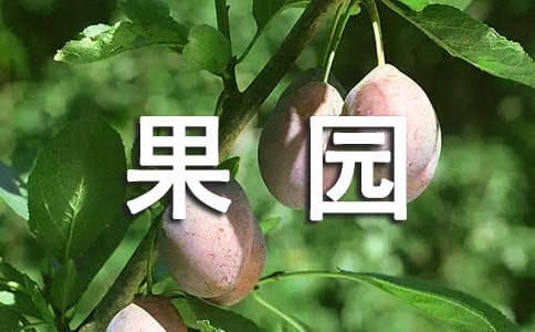 果园场承包协议书