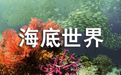 奇妙的海底世界作文（优秀）