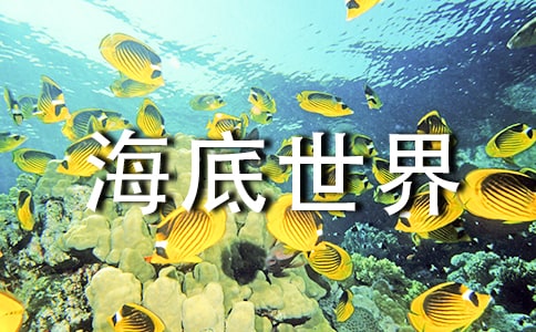 (精)海底世界的作文