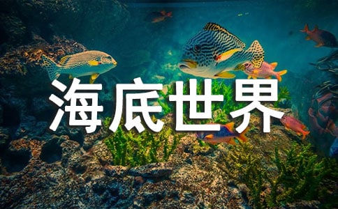 游海底世界作文(精华)