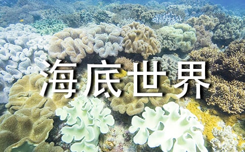 参观海底世界作文