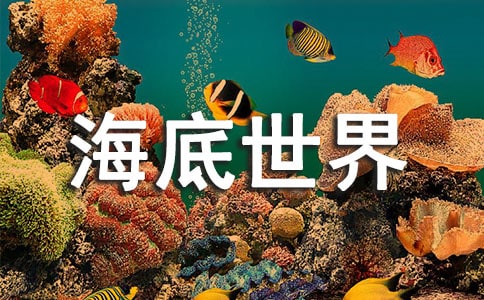参观海底世界作文[大全10篇]