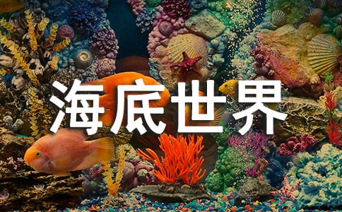 参观海底世界作文11篇（热门）