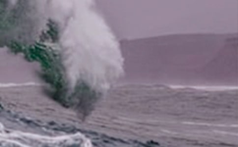 海啸奇迹经典语录