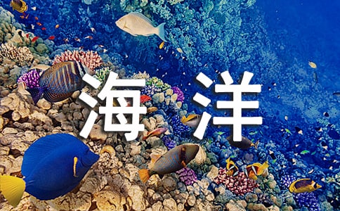 未来的海洋世界