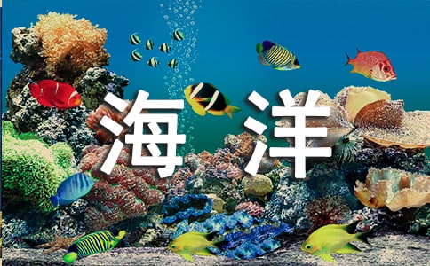 有关海洋的宣传标语