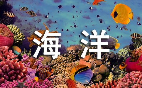纪录片海洋 观后感