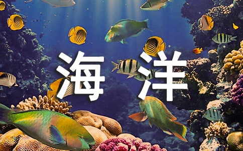 《海洋是未来的粮仓》的同步练习