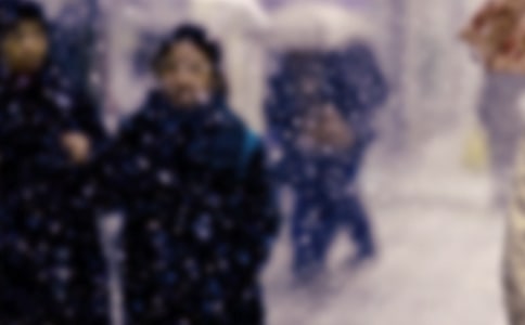 寒潮低温应急预案(精选15篇)
