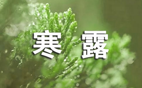 2023寒露时间是几日几点几分