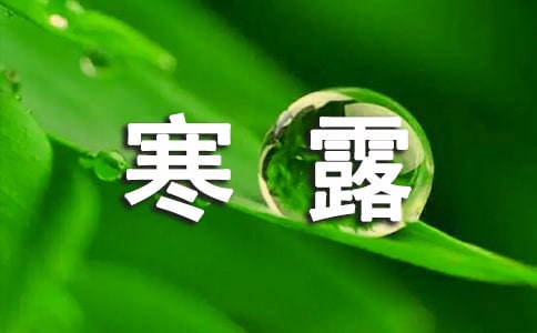 寒露是什么意思【精选】