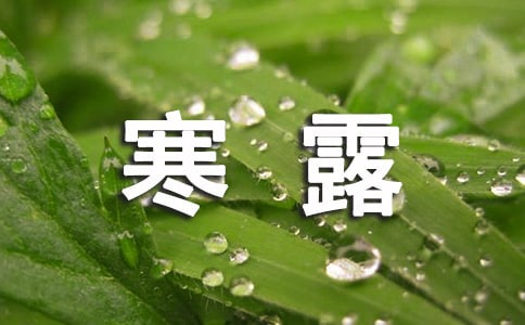 2023年寒露农历几月几日[实用]