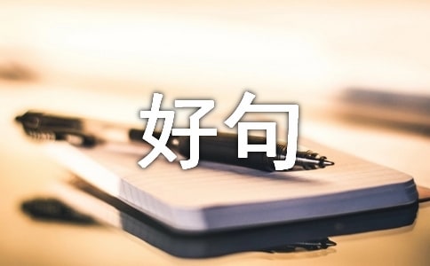 十一月你好句子