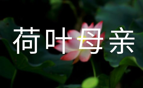 荷叶母亲读后心得体会600字