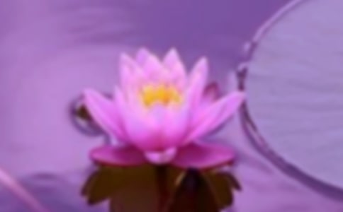 关于和谐的作文「优秀篇」