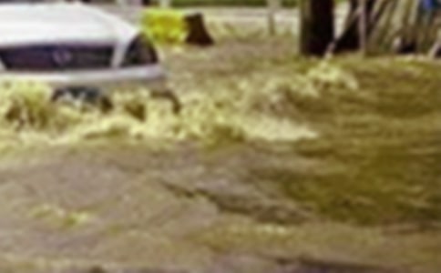 梦见洪水淹死人