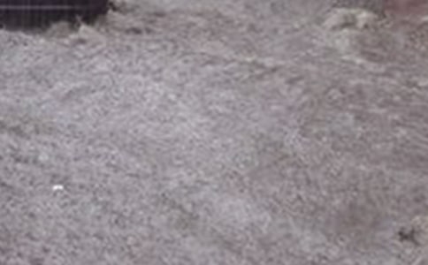 关于洪水的作文30篇