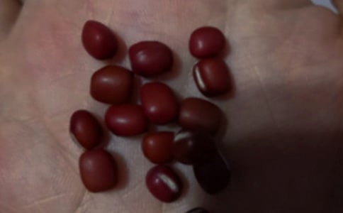 我的红豆作文[优秀]