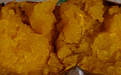 挖红薯作文汇总（15篇）