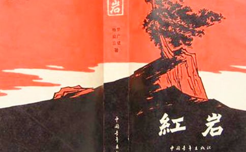 《红岩》知识点复习及练习