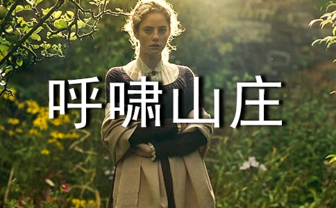 呼啸山庄阅读感想心得作文500字左右