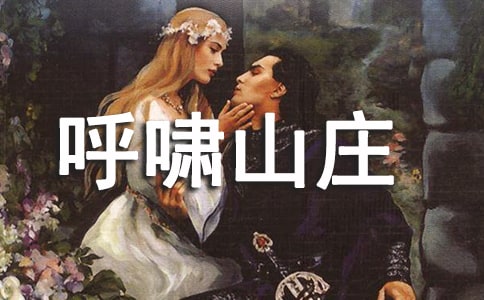 呼啸山庄名著优秀感想心得体会