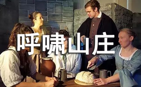 呼啸山庄优秀读后感作文500字