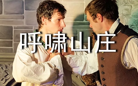 呼啸山庄名著优秀读书笔记