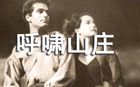 呼啸山庄读后感题目
