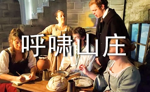 呼啸山庄读后感
