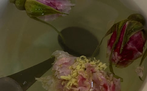 花茶会不会上火