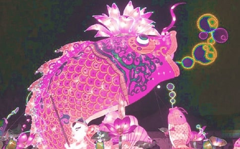 （精华）看花灯