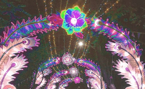 观花灯