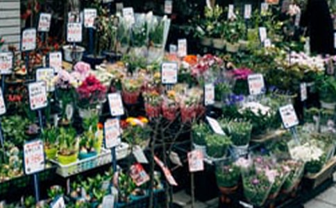 花店的名字